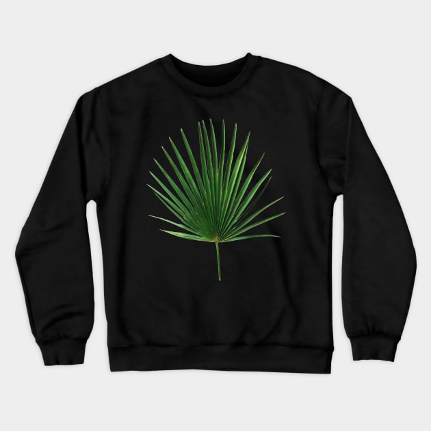 Simple Palm Leaf Geometry Crewneck Sweatshirt by micklyn